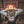 Load image into Gallery viewer, Summer of '25 Snapback Cap