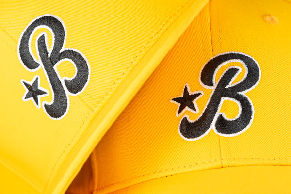 Summer of '25 Snapback Cap